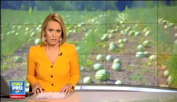 Producatorii din Dabuleni, in lupta cu natura. Cum au fost salvati pepenii de grindina care a facut prapad in Vestul tarii