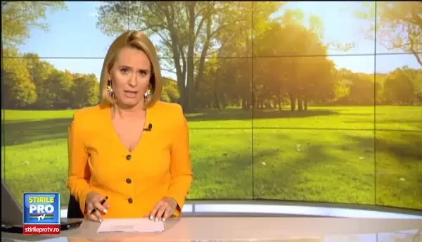 Invazia de capuse din parcurile marilor orase a trimis sute de persoane la spital. Autoritatile locale au o mare problema