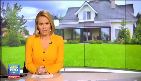 Romanii si-au luat caini de paza, dar nu toti stiu sa ii si educe. Ce risca proprietarii care nu duc animalele la dresaj