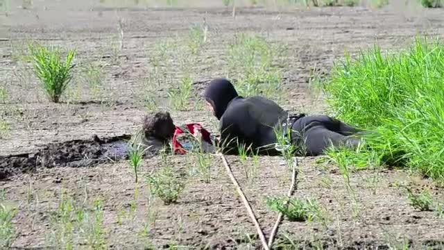 Miracolul din Covasna: o bunica a supravietuit si a fost recuperata cu bine dintr-o mlastina in care a stat 2 nopti