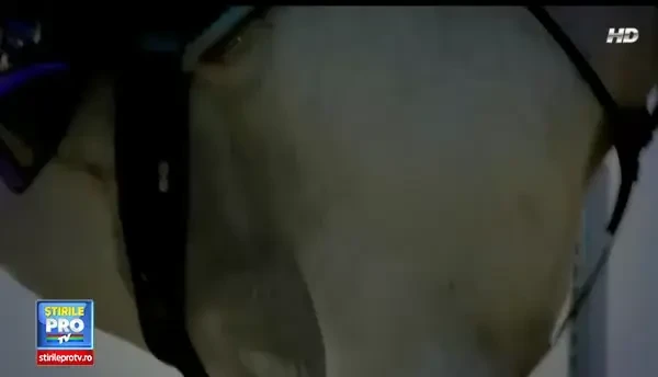 (P) Constipatia – problema secolului XXI?