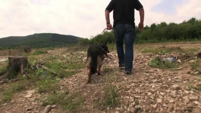 Cazul "Elodiei de Neamt" a fost rezolvat. Detaliile care l-au dat de gol pe sotul femeii disparuta acum 3 ani