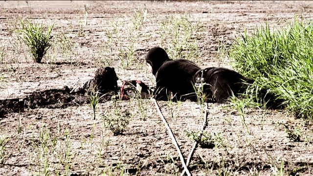 "Credeam ca raman acolo si mor". Batrana salvata din mlastina marturiseste prin ce a trecut timp de doua zile