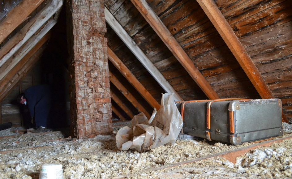 Facea curatenie in pod cand a avut socul vietii sale. Ce comoara de neimaginat a descoperit intr-o valiza veche