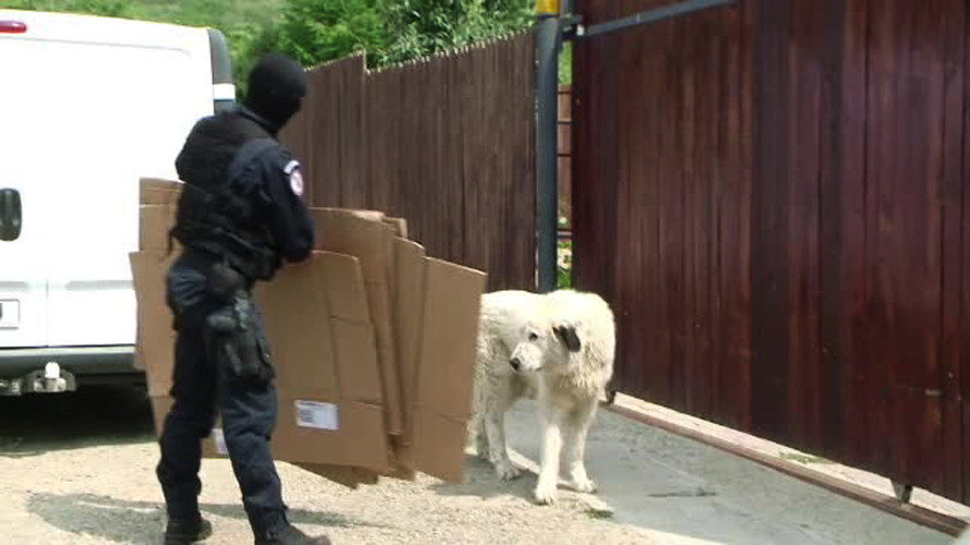 Fostul procuror DNA care a ajuns sa vanda tablouri false pe Internet. "Le zic ca le dau o mie, ca lucrarea-i o porcarie"