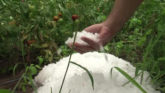 COD GALBEN de grindina si furtuna in Capitala. Pana la ce ora este valabila avertizarea