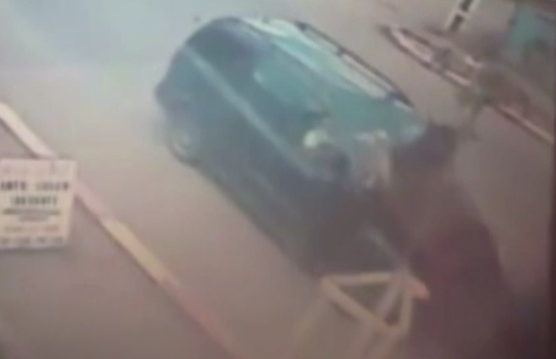 Moment de panica pentru un sofer, pe o strada din judetul Buzau. Ce s-a intamplat dupa ce un cal i s-a urcat pe capota