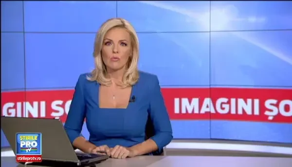 Moment de panica pentru un sofer, pe o strada din judetul Buzau. Ce s-a intamplat dupa ce un cal i s-a urcat pe capota