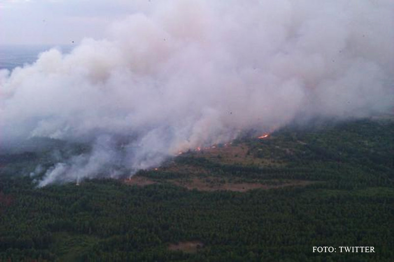 Un nou incendiu a izbucnit in padurile radioactive de la CERNOBIL. Pompierii ucraineni nu reusesc sa stinga flacarile. VIDEO