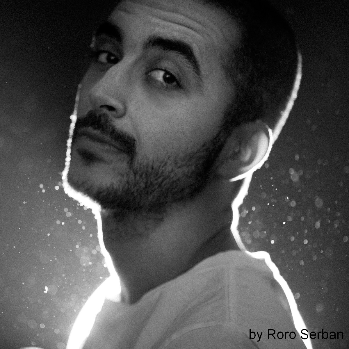 Alex Galmeanu - O colectie de arta despre arta