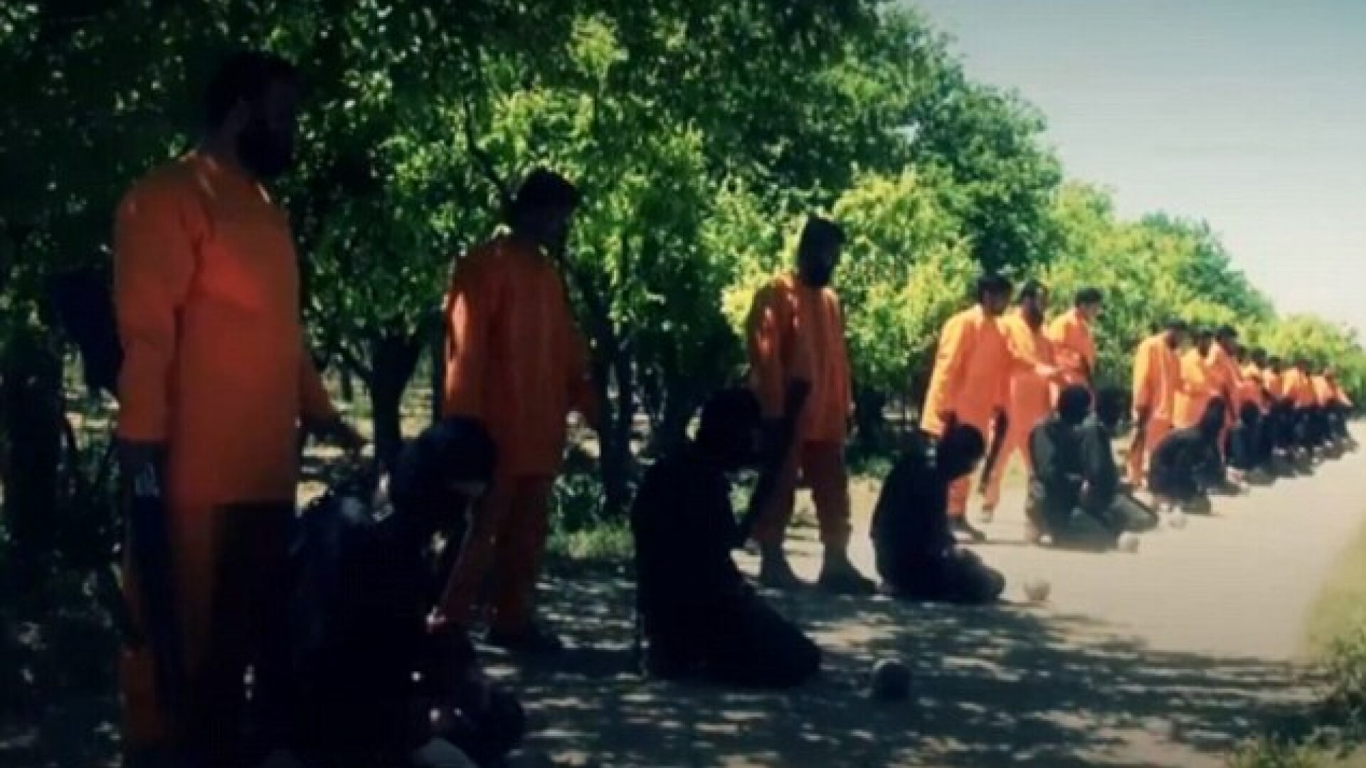 13 jihadisti ISIS, executati de Armata Islamului, o grupare de rebeli sirieni: "Allah da boala, Allah da remediul"