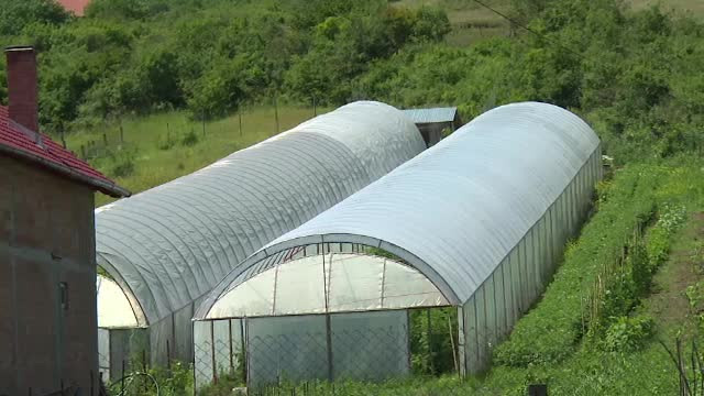 Serele și solariile românilor rămân neimpozitate. Anunțul ministrului Agriculturii