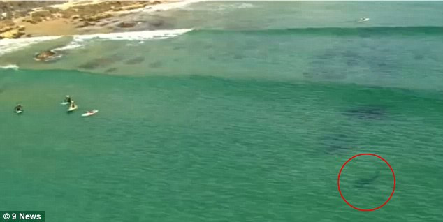 Se pregateau sa faca surf, fara sa stie ce se afla la cativa metri de ei. Cum au fost salvati niste tineri in ultima secunda