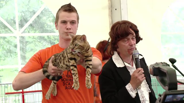 Pisici de lux. Cum arata felina care al carei pret sare de 2.000 de euro