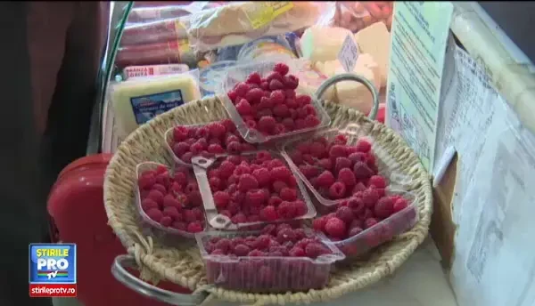 Festival medieval la Curtea de Arges. Ambasadorul Chinei n-a rezistat provocarii unui cavaler si a luat sabia in mana