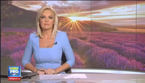 Dealurile din Transilvania incep sa se coloreze in violet. Cat de profitabile pot fi culturile de levantica