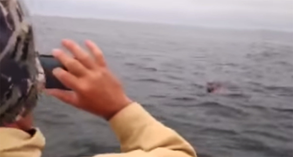 Descoperire uluitoare facuta de pescarii rusi in largul marii. "Ne-a fost frica sa il aducem la bord". VIDEO