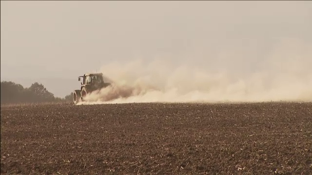 Fraude cu bani europeni: un barbat din Calarasi ar fi inselat statul cu 24 de milioane de euro. Ce risca acum