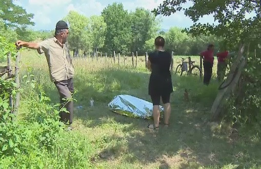 Un cuib de bondari i-a adus sfarsitul. Medicii nu au mai putut face nimic pentru barbatul atacat de insecte