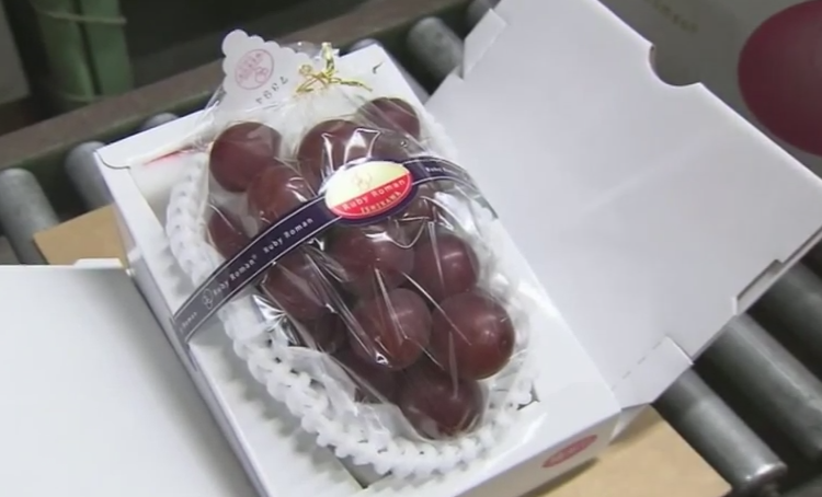 Un ciorchine de struguri "perfecti", vandut la o licitatie in Japonia pentru o suma record