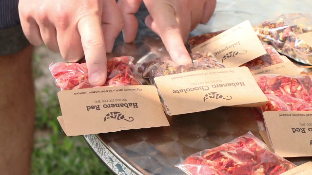 Ardeii exotici ii cuceresc pe romanii rezistenti si aduc si profit. La cat ajunge un kilogram de habanero