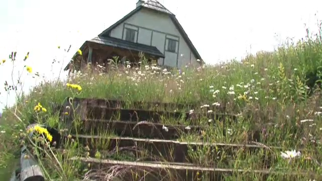 Un sculptor din Bistrita-Nasaud a creat satul artistic, inspirat de casa parinteasca. Cum transforma natura in opera de arta