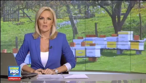 Un politist de 38 de ani din Buzau a fost intepat de albina si a murit in cateva minute. Cum putea fi evitata tragedia