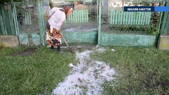 Grindina pana la glezne, in judetul Dambovita. O furtuna puternica a distrus zeci de hectare de recolta, in doar 10 minute