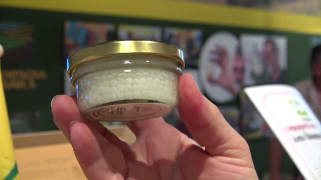 "Crema" delicateselor, prin care Italia si-a castigat faima mondiala. Cat costa un kilogram de caviar de melci