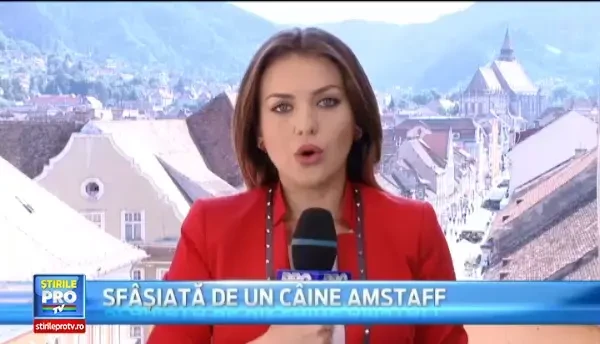 Caz tulburator in Arges. O batrana de 83 de ani, la un pas sa fie violata de un vecin cu 36 de ani mai tanar