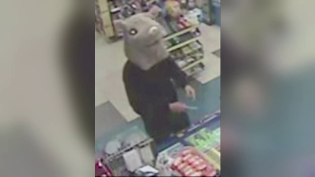 Un individ deghizat intr-un soarece urias a jefuit in magazin din Canada. Ce s-a descoperit la fata locului dupa cateva clipe