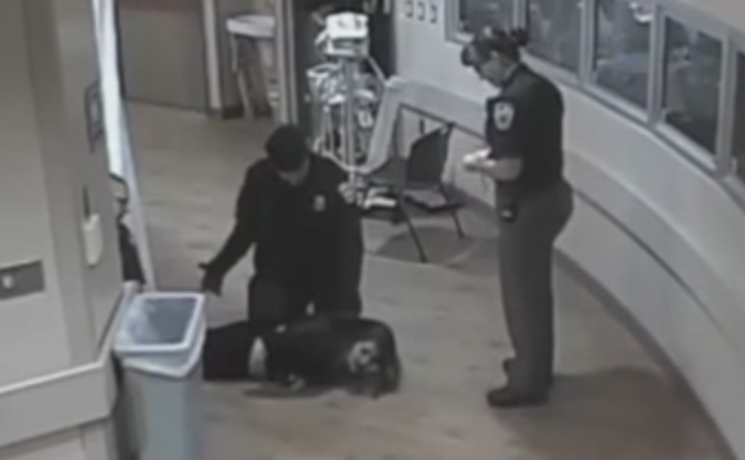 Tanara agresata de un politist, in timp ce era incatusata. Atacul a fost surprins de camerele de supraveghere. VIDEO