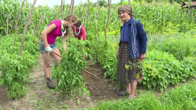 45 de adolescenti belgieni au venit in Alba sa descopere viata la tara si sa ajute batranii la treburi gospodaresti: E grozav
