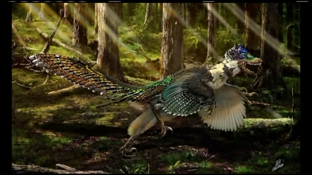 O noua specie de dinozaur, cu aripi masive si pene lungi, descoperita in China. Cum arata misterioasa creatura