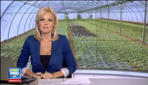 Rosia care arata ca o capatana de usturoi, vinetele albe sau castravetele galben. Legumele atipice, tot mai cautate in piete