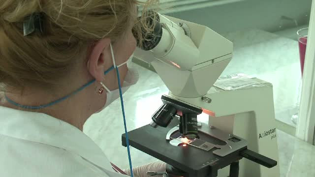 Al doilea deces provocat de malarie in ultimele 2 saptamani. Pilotul din Bacau, internat la Spitalul Victor Babes, a murit