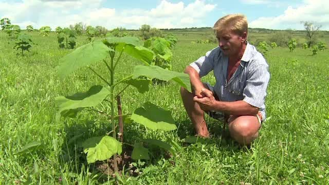 Afaceri de succes in agricultura, cu investitii minime. Cum a castigat un roman 30.000 de euro dintr-o singura recolta