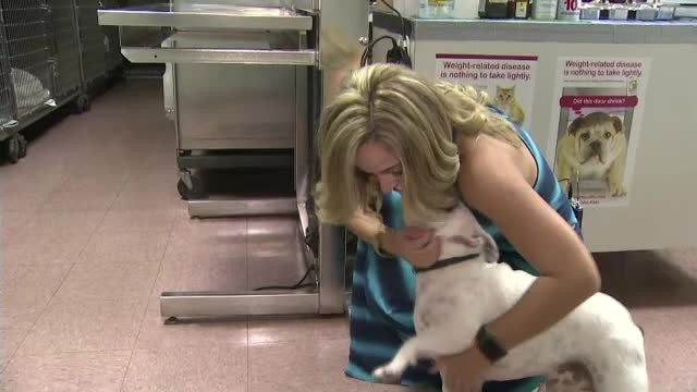 O tanara din Miami s-a dus de urgenta cu buldogul la veterinar. Ce a descoperit dupa ce i-a facut radiografie animalului