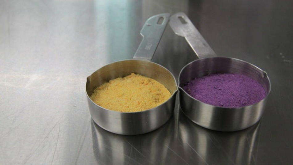 Praful cu care o echipa de studenti suedezi spera sa puna capat foametei de pe glob. Cum functioneaza FoPo