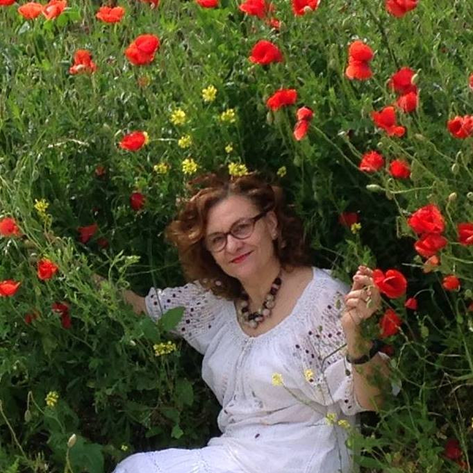 Diploma care a devenit virala. Pentru ce a fost premiat europarlamentarul Maria Grapini