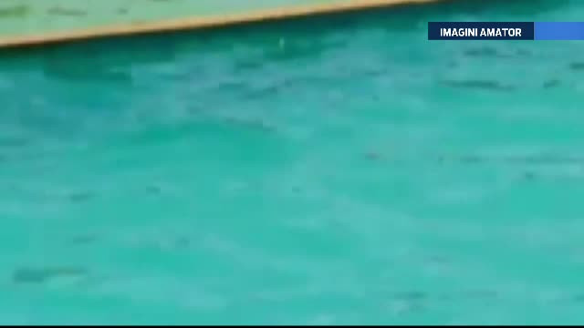 Strandul in care "se mai intampla" sa apara si excremente umane. Oamenii nici nu au realizat ce se afla printre ei