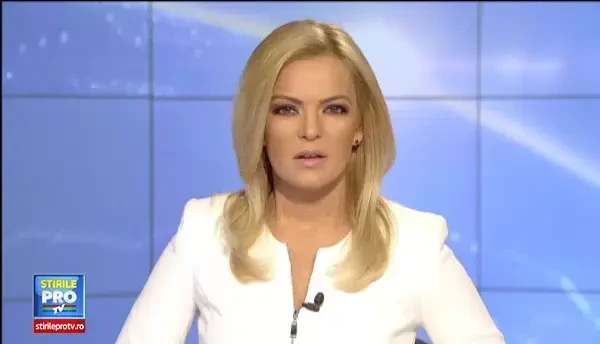 Ioan Niculae, denuntat la DNA de Dorin Cocos. Pentru ce ar fi urmat sa dea mita 1 milion de euro