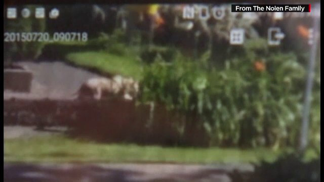 Aparitie misterioasa pe strazile din Milwaukee, Statele Unite. Localnicii sunt ingroziti si le e frica sa iasa afara