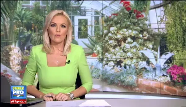 Afinul african costa 50 de lei/kg. Cine sunt fermierii care au riscat si au castigat cu plante exotice in Romania