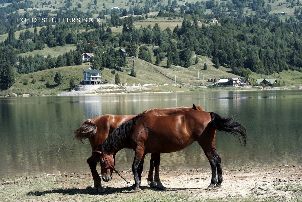 "E marea de la munte". Statiunea din Bistrita cu plaje artificiale si sporturi nautice la 900 de metri altitudine
