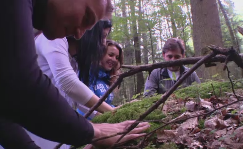 Forest therapy, noua forma de vindecare in Romania. Cat costa o sedinta in padurile de la Rasnov