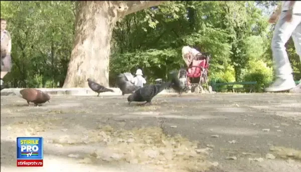 Horoscop zilnic, 27 iulie. Leii reiau o poveste de dragoste, iar Berbecii pun bazele unei afaceri