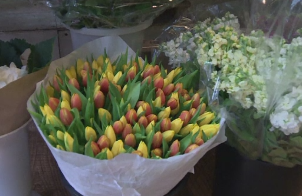 Moscova ia in calcul interzicerea importurilor de flori din Olanda. Care este motivul invocat de autoritati