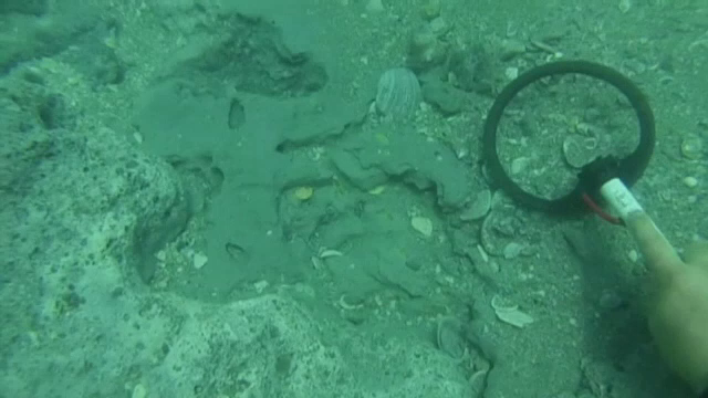 Un cuplu a gasit o comoara ingropata pe fundul marii timp de aproape 300 de ani. Cat valoreaza