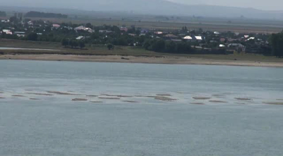 Dunarea a scazut atat de mult din cauza secetei incat au aparut INSULE. Cine pierde din aceasta situatie